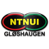 NTNUI