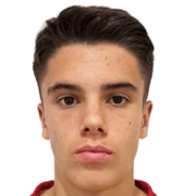 Bodin Tomasevic