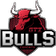 GTZ Bulls Esports