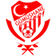 Gumushanespor