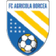 Agricola Borcea
