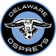 Delaware FC