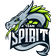 Team Spirit Academy