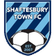 Shaftesbury Town