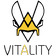 Team Vitality